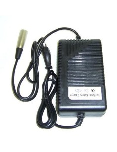 Cargador de Baterías 48v Raycool
