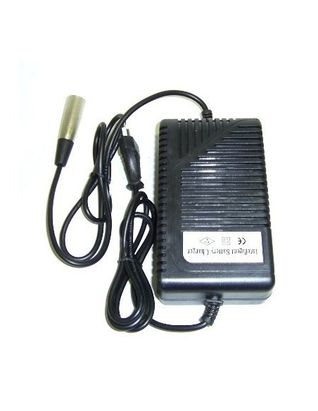 Cargador de Baterías 48v Raycool