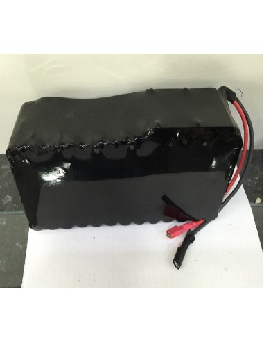 Bateria de litio 48v Celulás Samsung