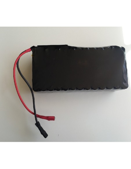 Bateria de litio 36v 12,5Ah