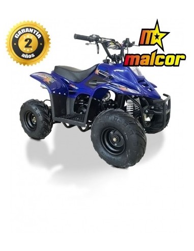 Miniquad niños gasolina 110cc, 6"