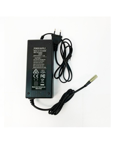 Cargador Batería Litio 36V conector raycool