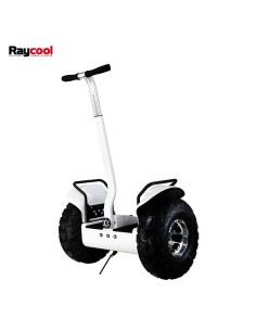 Nuevo patinete Raycool RX-3 4000w New (Reserva)