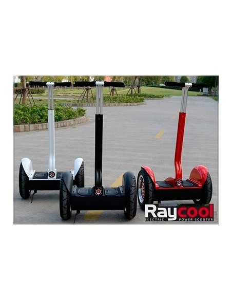 Patinete Raycool RX-1 New 2016