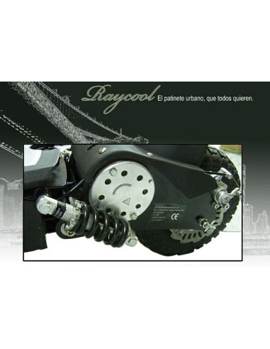 Patinete Raycool Nitro 1000W Led